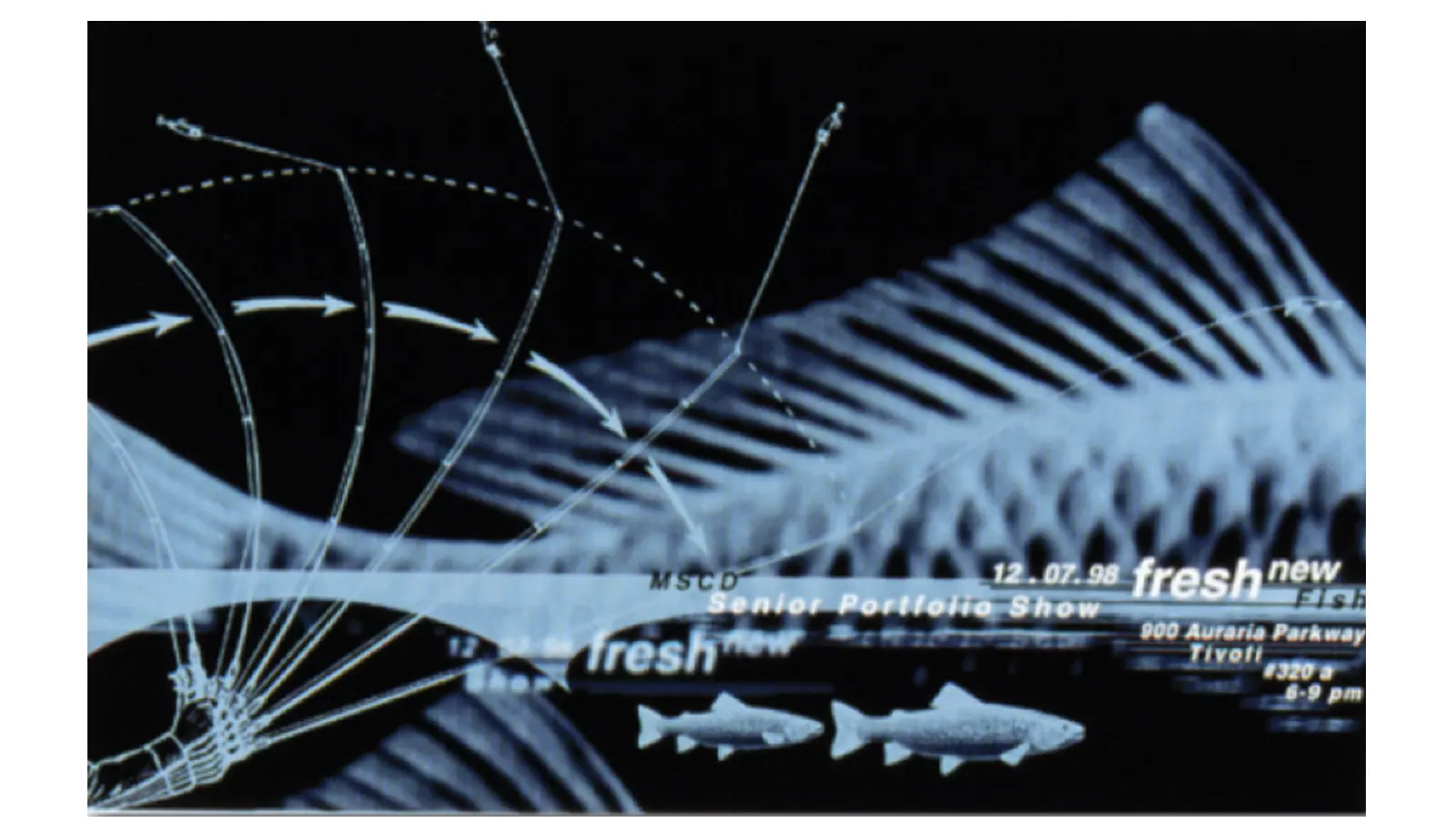 Fresh New Fish Senior Show Flyer