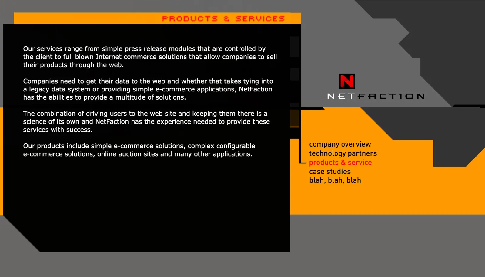 Netfaction Flash Website