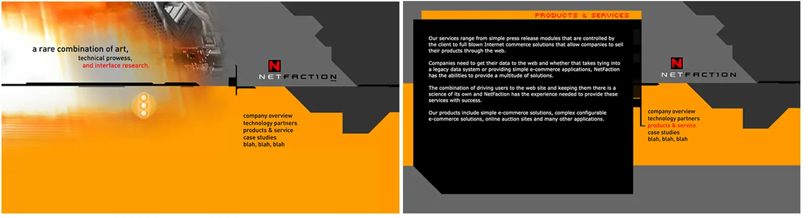 Netfaction Flash Website
